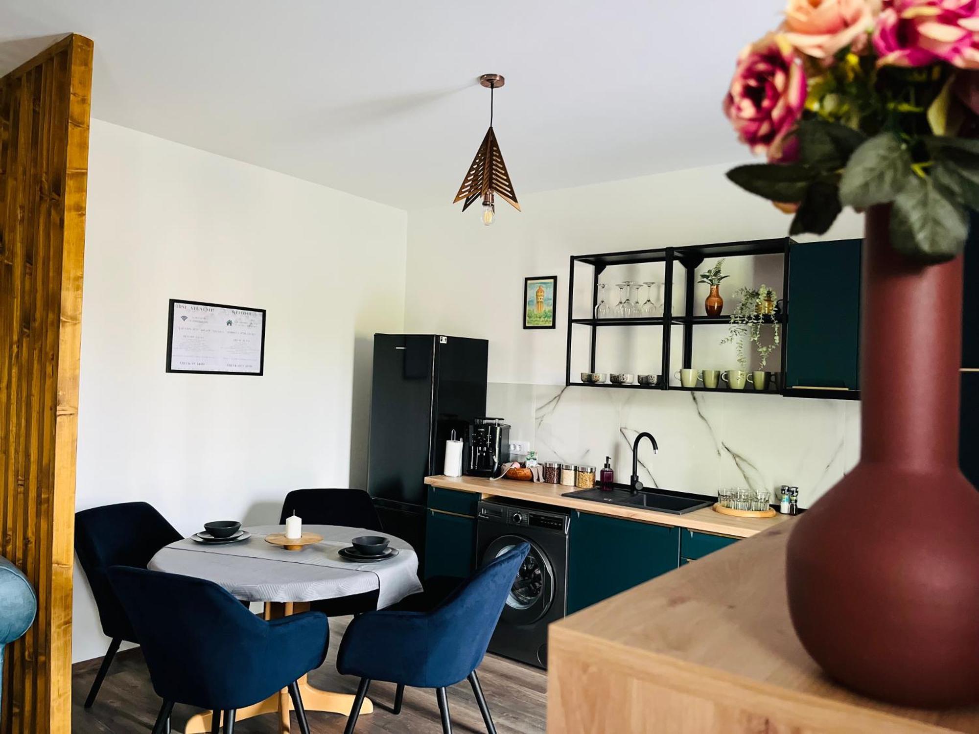 Apartament Studio Bian Timisoara Exterior photo